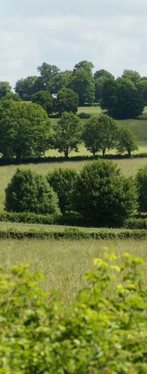 bocage de Gâtine